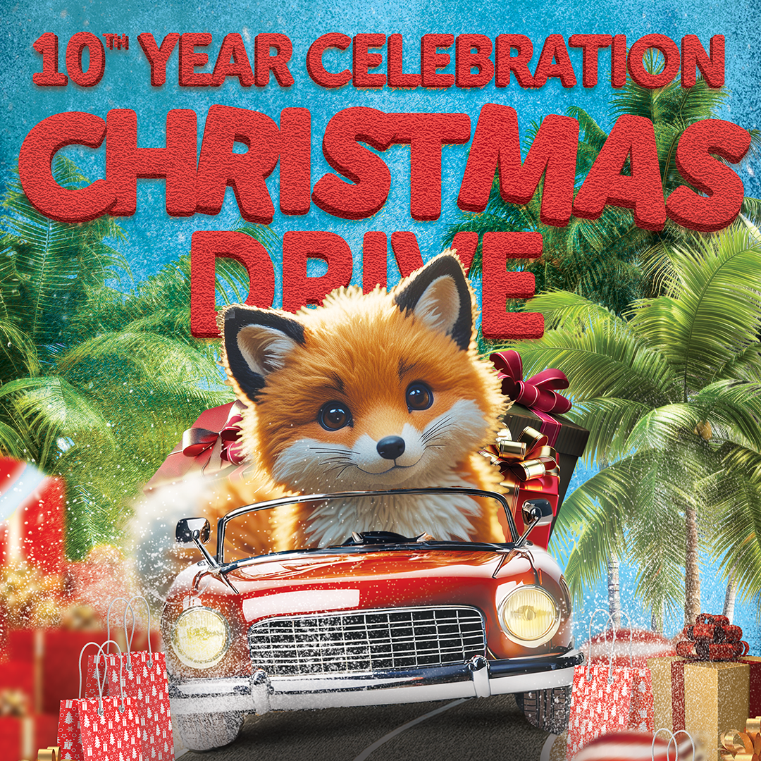 The Fox Foundation Celebrates 10 Years of Giving Back: A Decade of Holiday Cheer